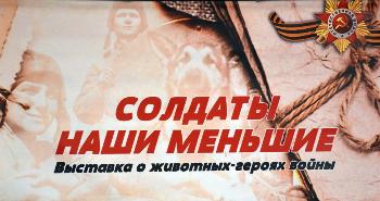 Открытие выставки "Солдаты наши меньшие"